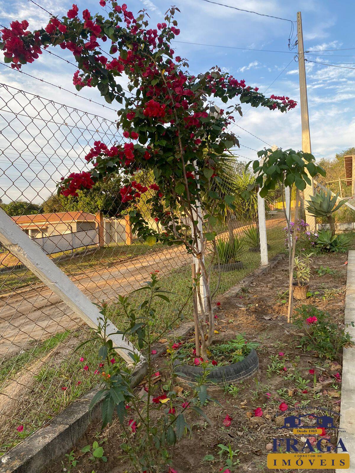 Fazenda à venda com 4 quartos, 424m² - Foto 20